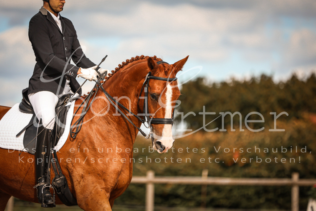 17.SoDrM00218 | Leoni Ertmer Photography - Realisiert mit Pictrs.com