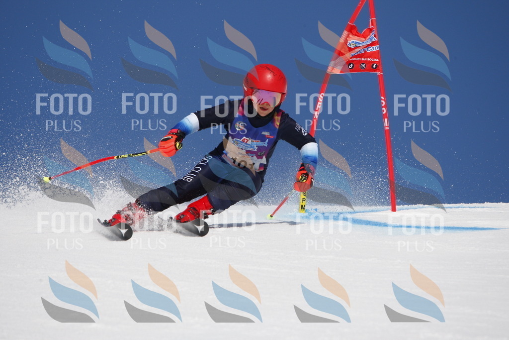 _W1G1494 | holidayphoto