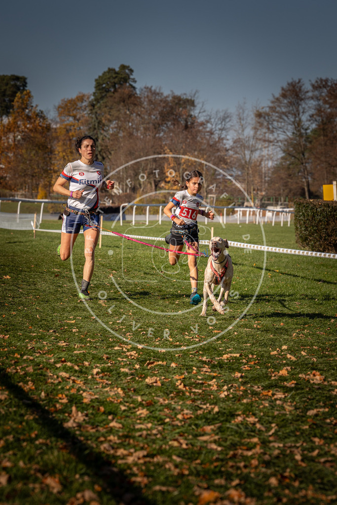 CaniXpix_0L8A6973 | Hundefotografie, Tierfotograf, Pfotenfotografie, Fotoshooting Hund, Hunde Portrait, Hundesport, Hundeportraits, Heideshooting, Hunde, Sportfotograf, Hundefotograf, Turnierhundsport, THS,  - Realisiert mit Pictrs.com