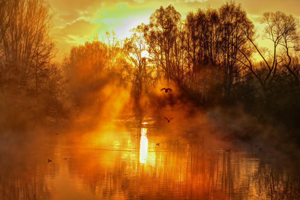 Wandbild - Morgendämmerung im Nebel | Dieses bezaubernde Bild zeigt einen malerischen Sonnenaufgang über einem ruhigen See. Die Szenerie wird von intensiven Orangetönen dominiert, die durch den aufsteigenden Nebel und das durch die Bäume fallende Sonnenlicht verstärkt werden. Die Silhouetten der kahlen Bäume zeichnen sich gegen den leuchtenden Himmel ab, während mehrere Vögel über dem Wasser fliegen und die friedliche Stimmung der Morgendämmerung unterstreichen. Die Reflexion der Sonne im Wasser schafft eine harmonische und beruhigende Atmosphäre.