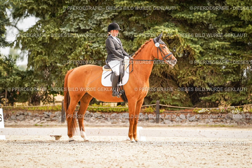 DSC01859 | Pferdegrafie