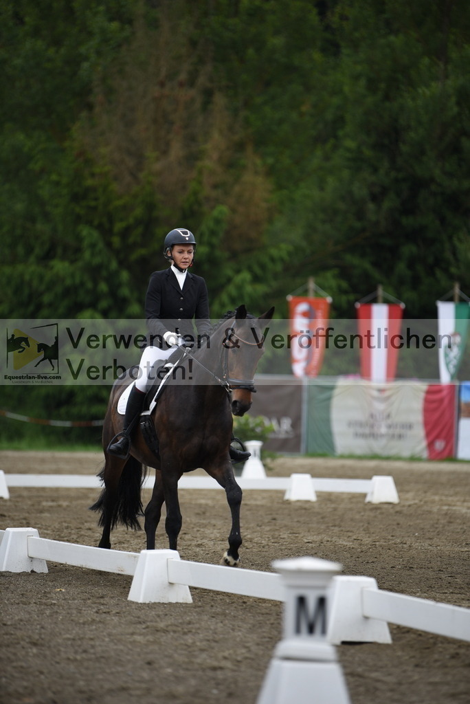 DSC_7908 | equestrian-live-com