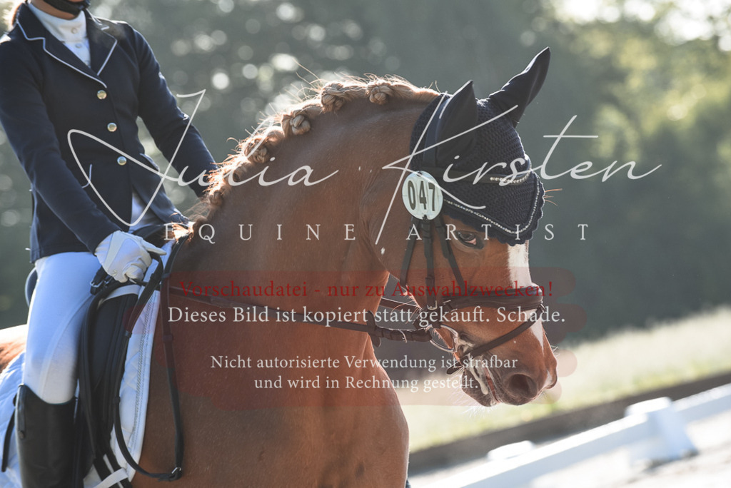 20230518_JK-Röhrsdorf-09-0225 | Pferde- und Turnierfotografie in Westsachsen. Pferdeportraits, Auftragszeichnungen und intuitive Kunst.