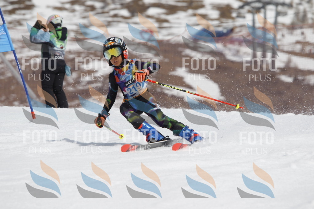 _U3G2349 | holidayphoto