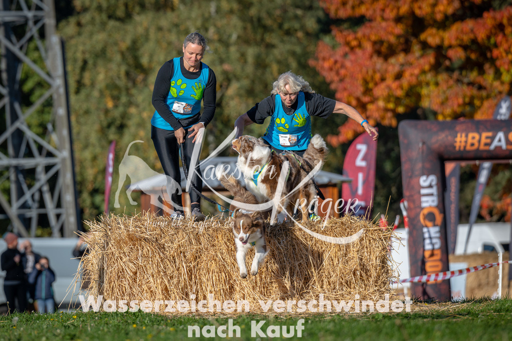 0952_ZZ91349 | kk-dogfotos