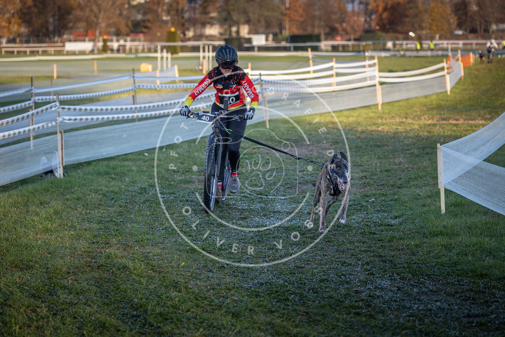 CaniXpix_0L8A2411 | Hundefotografie, Tierfotograf, Pfotenfotografie, Fotoshooting Hund, Hunde Portrait, Hundesport, Hundeportraits, Heideshooting, Hunde, Sportfotograf, Hundefotograf, Turnierhundsport, THS,  - Realisiert mit Pictrs.com