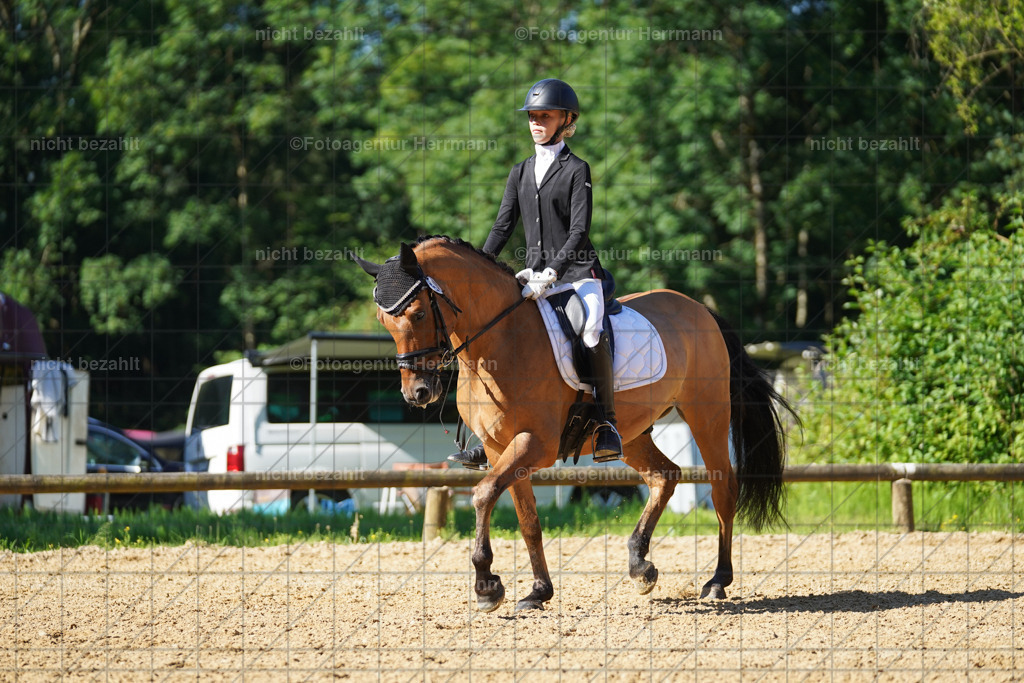 20240706-FAH04512 | Grafing Turnierfotos, Reitverein Ebersberg, Turnierfotografen Bayern, reitsportbilder, Pferdefotograf, reitsportfotograf, Sportbilder, Reitsportfotografie, Fotoagentur Herrmann, Turnierfotograf