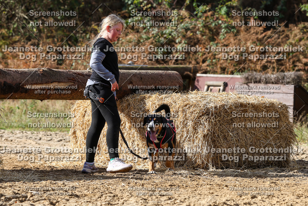 Dog Paparazzi - Strongdog 10-25-4938 | Dog Paparazzi Jeanette Grottendiek Fotografie & Videografie - Realisiert mit Pictrs.com