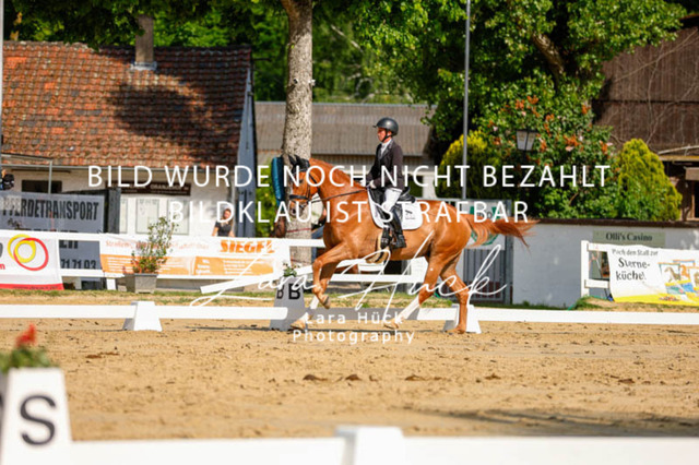 _62_2511 | larahueckfotografie