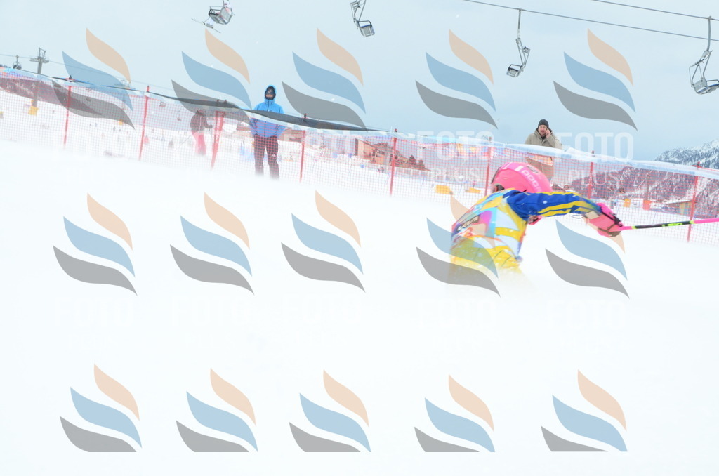 DSC_1029 | holidayphoto