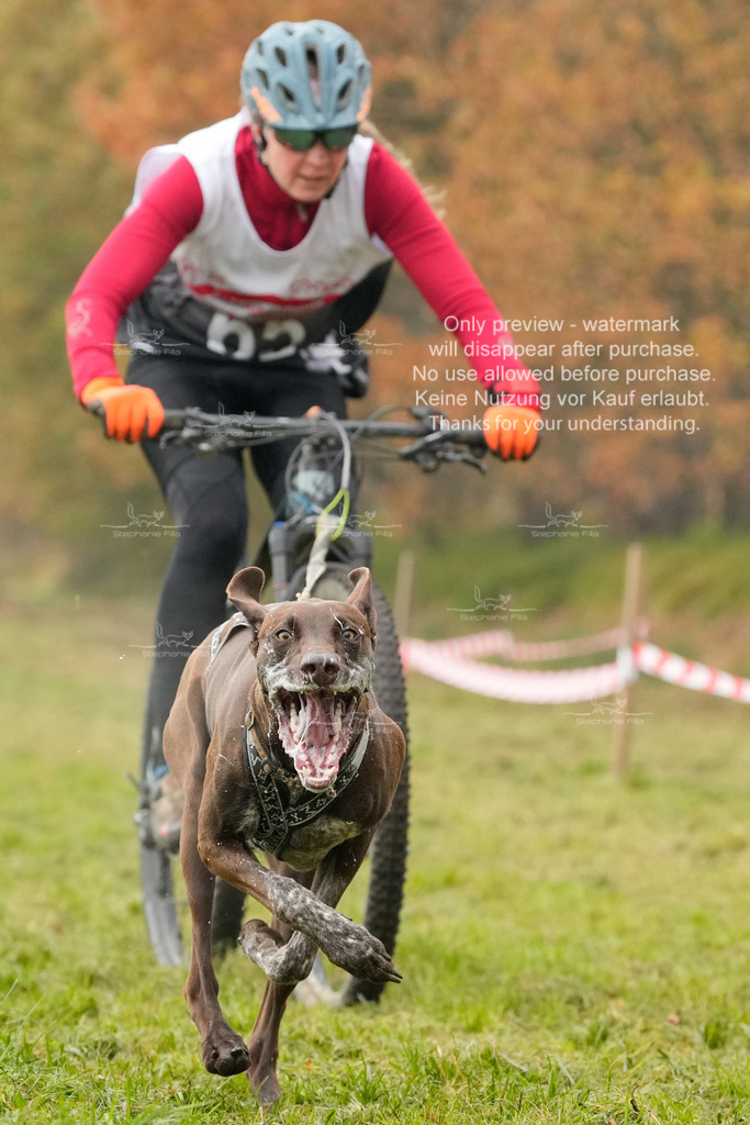 AusschnitteSa-110 | stephaniefillaphotographie - Realisiert mit Pictrs.com