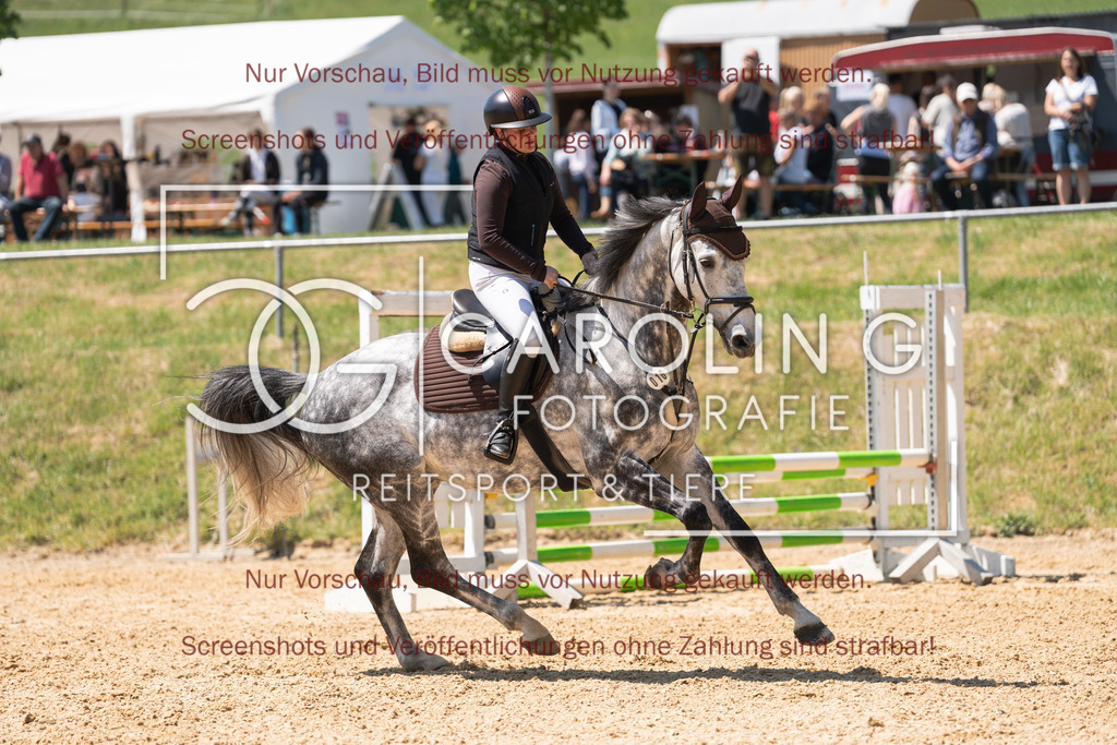 DSC04520 | Springturnier_Ehingen_Mai_2026, Emma_Kunz, Hicksteads_Catchy