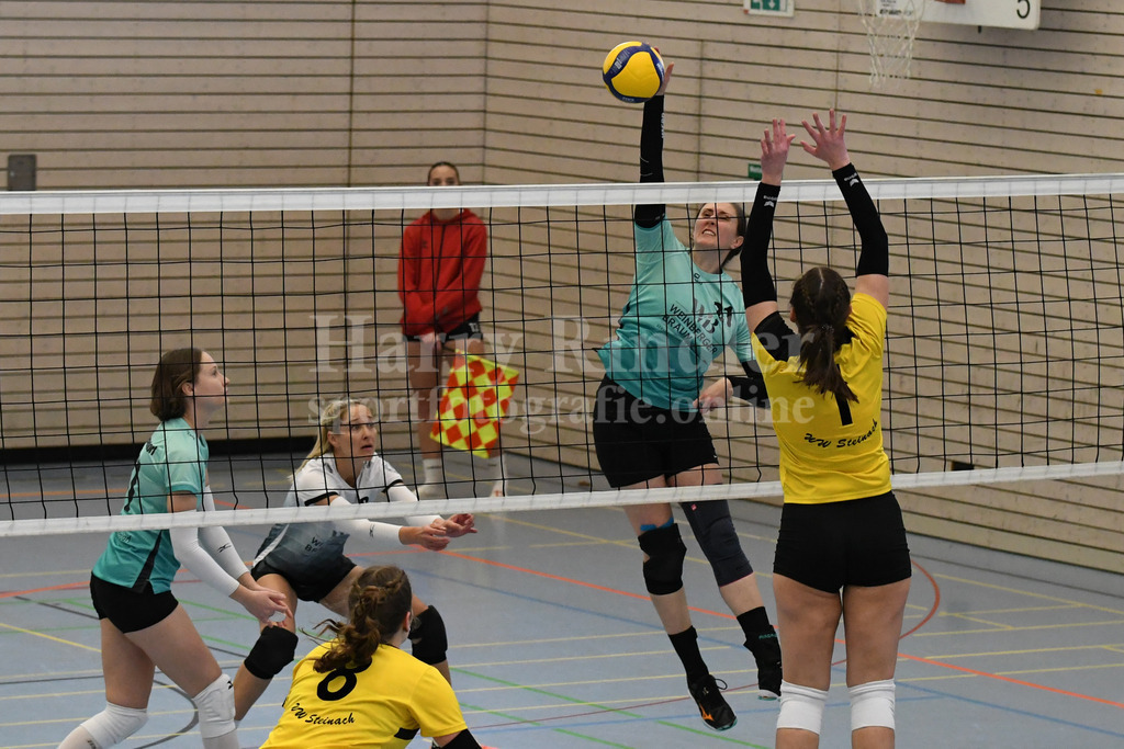 TSV Deggendorf Damen  : FC Ruderting | TSV Deggendorf Damen Volleyball - Realisiert mit Pictrs.com