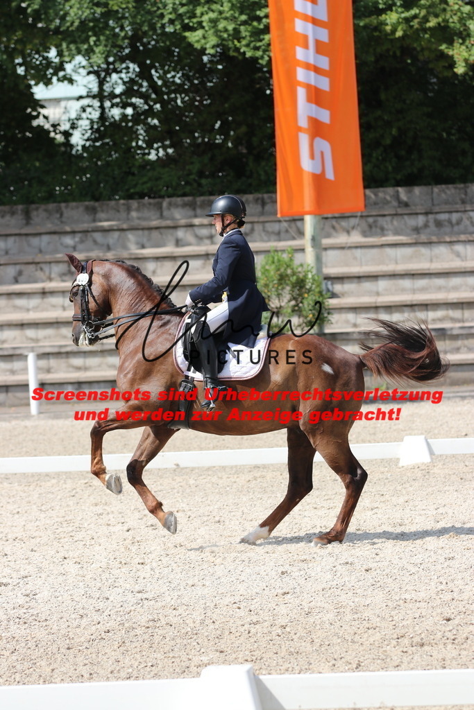 IMG_7015 | lmwpictures - Realisiert mit Pictrs.com