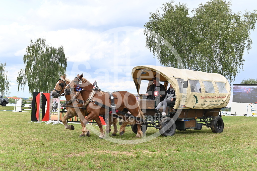 DSC_4698 | sattelsport - Realisiert mit Pictrs.com