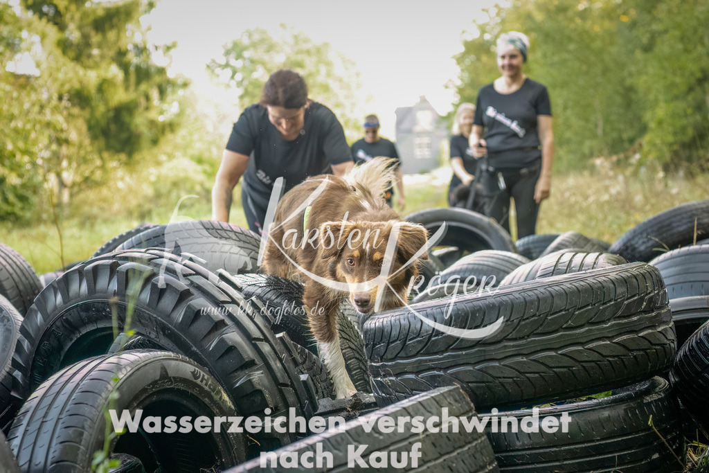 1042_ZZ90221-Bearbeitet | kk-dogfotos