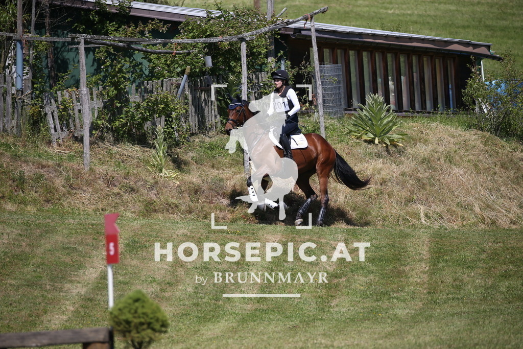 DL2Q1513 | Willkommen bei Brunnmayr - Design & Fotografie – Ihrem Spezialisten für Reitturniere und Pferdeveranstaltungen in Oberösterreich, Salzburg und Bayern! Seit über 17 Jahren sind wir leidenschaftlich dabei.