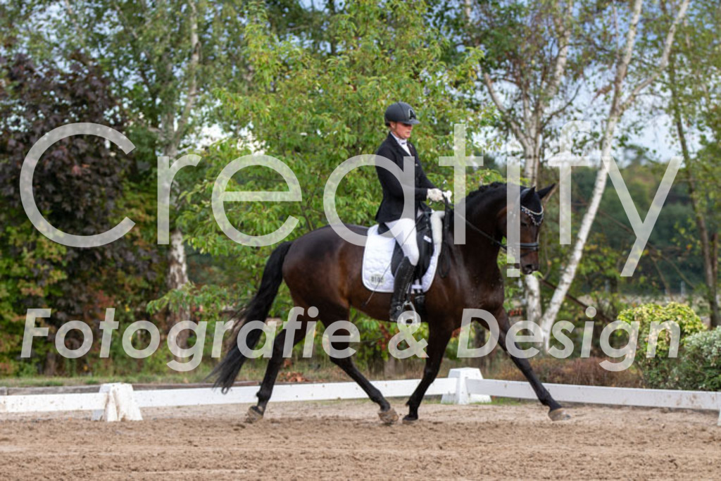 IMG_4959 | Creatify Fotografie