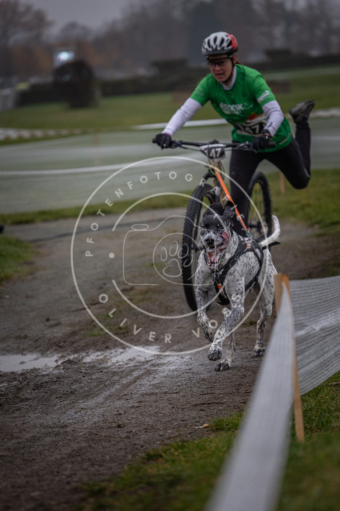 CaniXpix_0L8A0522 | Hundefotografie, Tierfotograf, Pfotenfotografie, Fotoshooting Hund, Hunde Portrait, Hundesport, Hundeportraits, Heideshooting, Hunde, Sportfotograf, Hundefotograf, Turnierhundsport, THS,  - Realisiert mit Pictrs.com