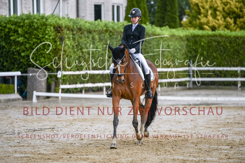 Schugtsche-Aluta25-55.Dressurreiterprf.L1Tr-289 | Schugtsche Fotografie - Realisiert mit Pictrs.com