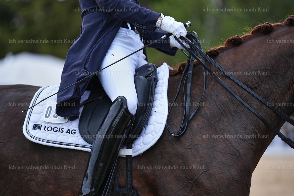 8_1-094-Klasse S_  -Marixx-4141 | working equitationturnier fotograf videograf stoibphotography marixx film working equitation deutschland reitsport turnierfotografie eventfotografie equestrian events