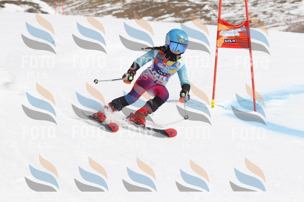 _U3G1054 | holidayphoto