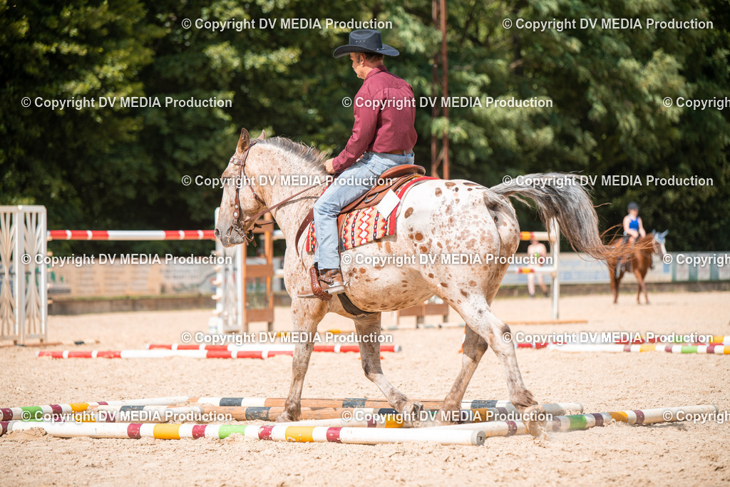 EWP_6781 | dv-media-shop - Realisiert mit Pictrs.com