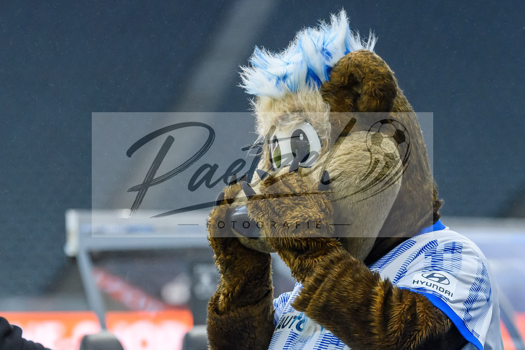 BSCFCB20220123_141 | Fussball, Herren: . Maskottchen Herthinho von Hertha BSC bei dem Spiel der 1. Bundesliga zwischen Hertha BSC und FC Bayern Muenchen im Olypiastadion am 23.01.2022 in Berlin, Deutschland.DFB / DFL REGULATIONS PROHIBIT ANY USE OF PHOTOGRAPHS AS IMAGE SEQUENCES AND/OR QUASI-VIDEO. - Realisiert mit Pictrs.com