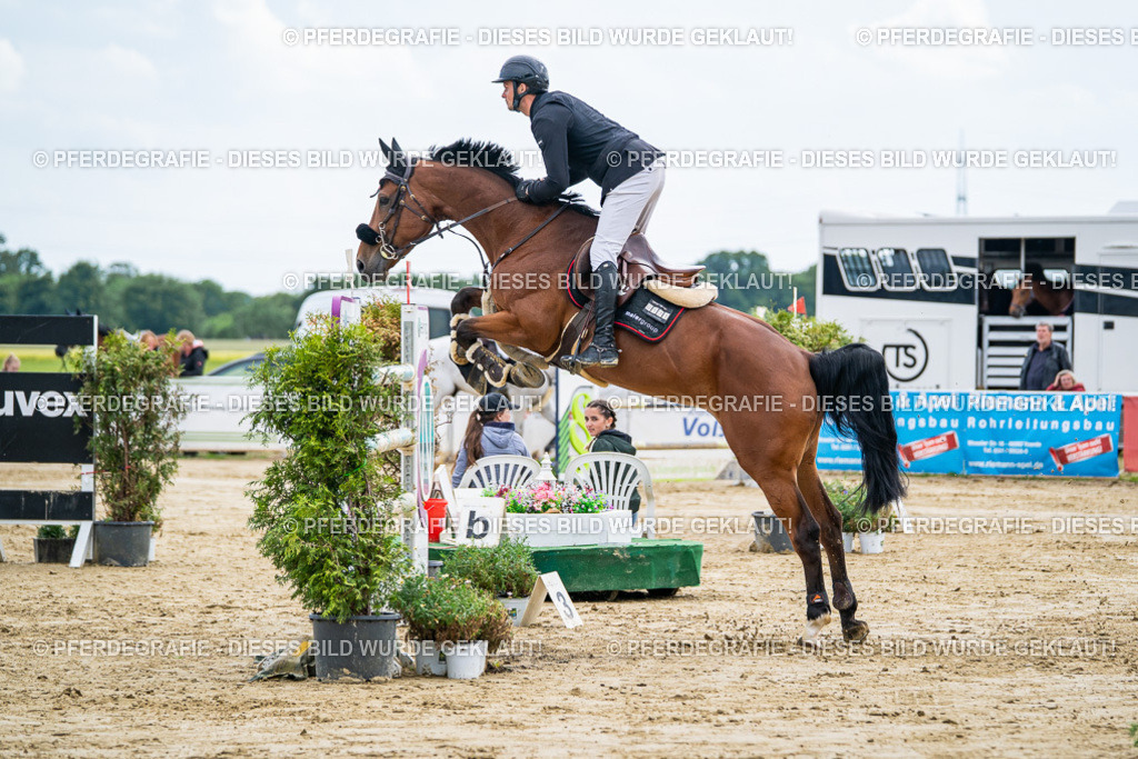 DSC06919 | Pferdegrafie