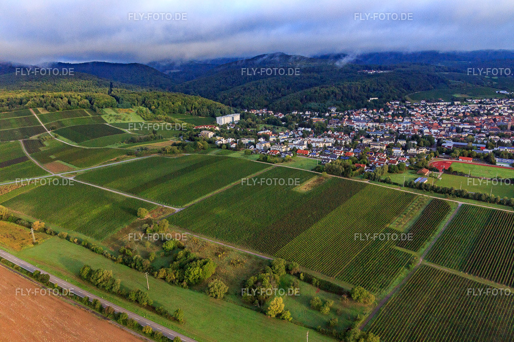 Weinberge südlich der Kurstadt | Luftbild: Weinberge südlich der Kurstadt in Dörrenbach im Bundesland Rheinland-Pfalz in Deutschland. Foto: IMG_103284.jpg vom 10.09.2017 durch Werner Riehm/FLY-FOTO.de - Realisiert mit Pictrs.com