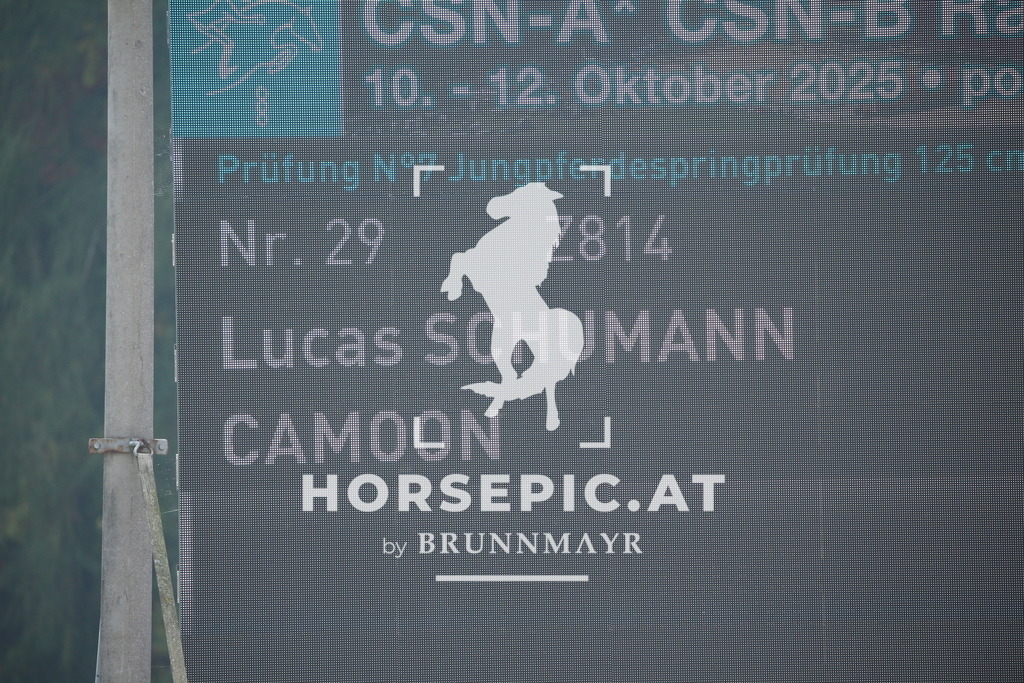 DL2Q0477 | Willkommen bei Brunnmayr - Design & Fotografie – Ihrem Spezialisten für Reitturniere und Pferdeveranstaltungen in Oberösterreich, Salzburg und Bayern! Seit über 17 Jahren sind wir leidenschaftlich dabei.