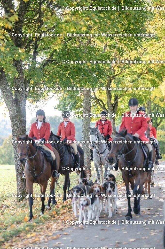 20251011_Jagd-Marbach_0290 | Foto: Thomas Hartig