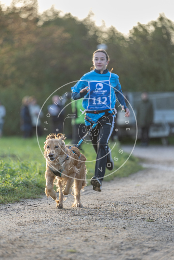 Pfotenfotografie.de_DV3A2510 | Hundefotografie, Tierfotograf, Pfotenfotografie, Fotoshooting Hund, Hunde Portrait, Hundesport, Hundeportraits, Heideshooting, Hunde, Sportfotograf, Hundefotograf, Turnierhundsport, THS, canicross - Realisiert mit Pictrs.com