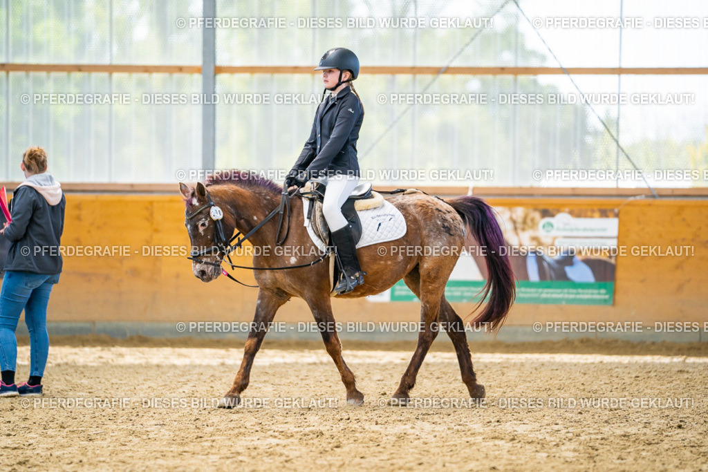 DSC01373 | Pferdegrafie