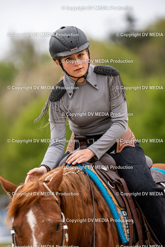 Heiligenwald Tag 1-490 | dv-media-shop - Realisiert mit Pictrs.com