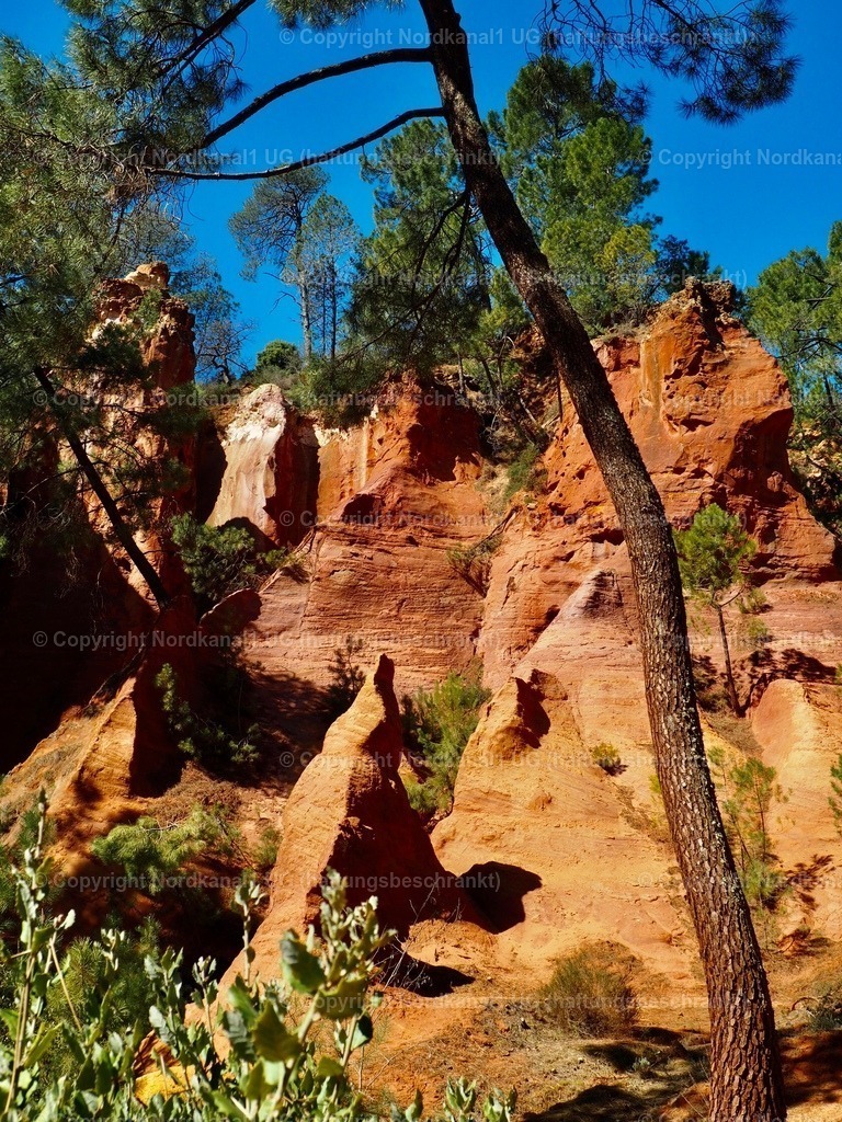 IMG_2920 | OLYMPUS DIGITAL CAMERA          - Realisiert mit Pictrs.com