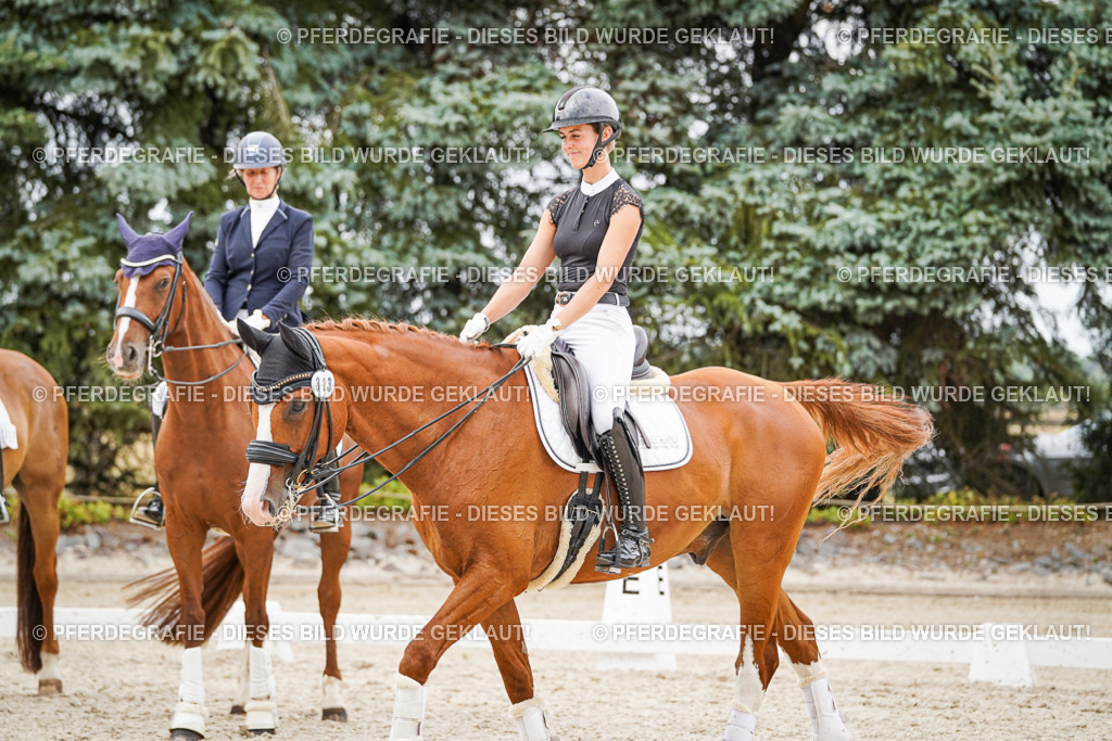 DSC08048 | Pferdegrafie