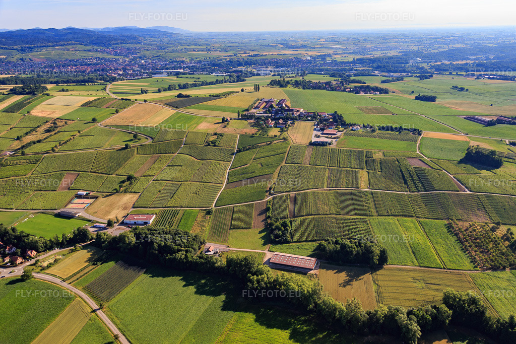 Vue aérienne: Le quartier de Schafbusch, vu du sud-ouest à Steinseltz dans le département Bas Rhin, France – .Photo: IMG_082990.jpg prise le 26/06/2015 par Werner Riehm/FLY-FOTO.eu – Résolution de l'original: 5198 x 3465 px