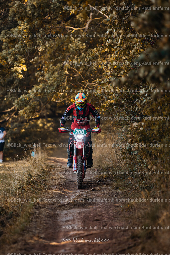 E68A6345 | blick_win_kel