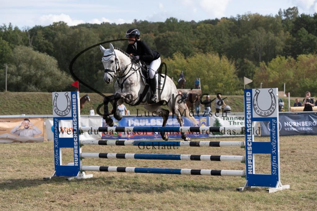 A7V09394 | Pferdefotograf