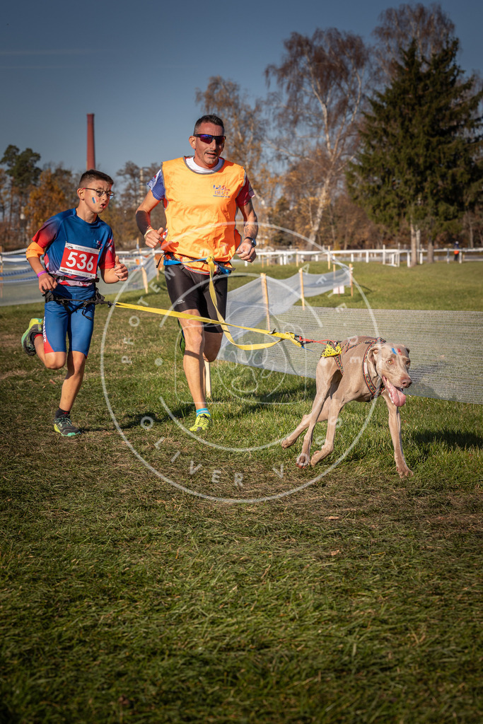 CaniXpix_0L8A7480 | Hundefotografie, Tierfotograf, Pfotenfotografie, Fotoshooting Hund, Hunde Portrait, Hundesport, Hundeportraits, Heideshooting, Hunde, Sportfotograf, Hundefotograf, Turnierhundsport, THS,  - Realisiert mit Pictrs.com
