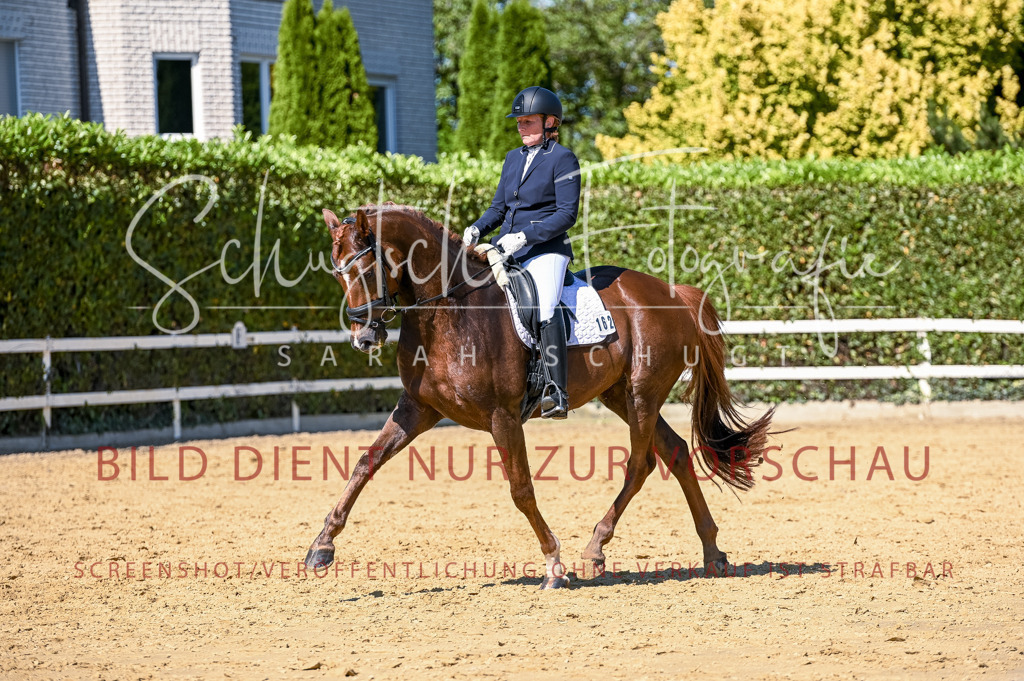 Schugtsche-Aluta25-50.Dressurpferdeprf.L-88 | Schugtsche Fotografie - Realisiert mit Pictrs.com