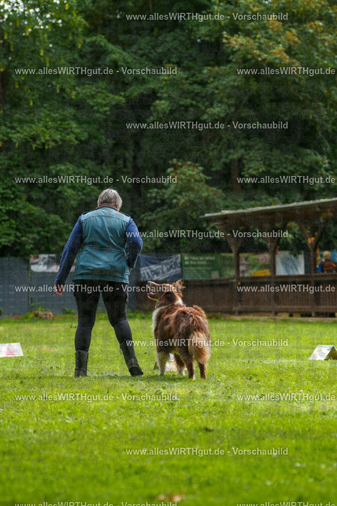 @allesWIRTHgut_Tierfotografie - www.allesWIRTHgut.de - 101255-7R508181 | Professionelle Tierfotografie in Mönchengladbach von Daniel Wirth (allesWIRTHgut). Liebevolle & natürliche Bilder von Hunden & Katzen für unvergessliche Erinnerungen.