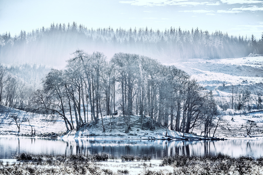 Winterlandschaft Dalmally | Eine verschneite Baumgruppe erhebt sich auf einer kleinen Insel inmitten eines ruhigen Gewässers. Die winterliche Szenerie in Dalmally, Schottland, zeigt eine klare Spiegelung der Bäume im Wasser und einen nebligen Nadelwald im Hintergrund, durch den Sonnenstrahlen dringen. - Realisiert mit Pictrs.com