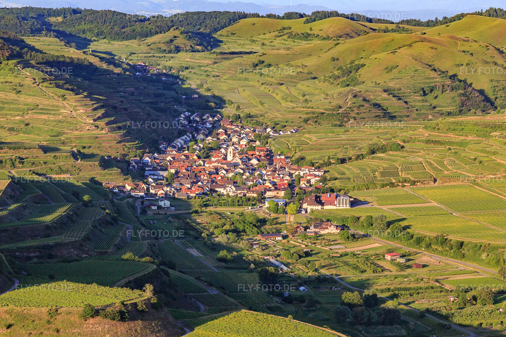 Luftbild: Winzerdorf im Kaiserstuhl aus Westen im Ortsteil Oberrotweil in Vogtsburg im Bundesland Baden-Württemberg in Deutschland. Foto: IMG_147885.jpg vom 30.05.2025 durch Werner Riehm/FLY-FOTO.de