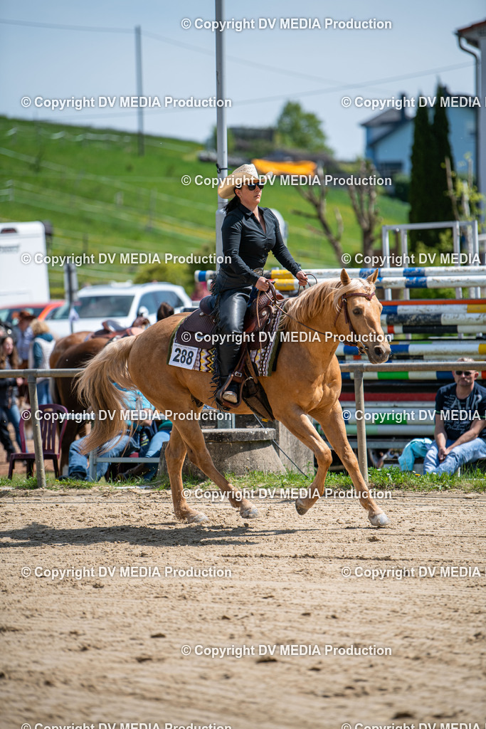 Heiligenwald Tag 3-1352 | dv-media-shop - Realisiert mit Pictrs.com