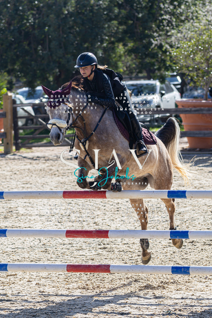 IMG_5378 | s-jay-photography - Realisiert mit Pictrs.com