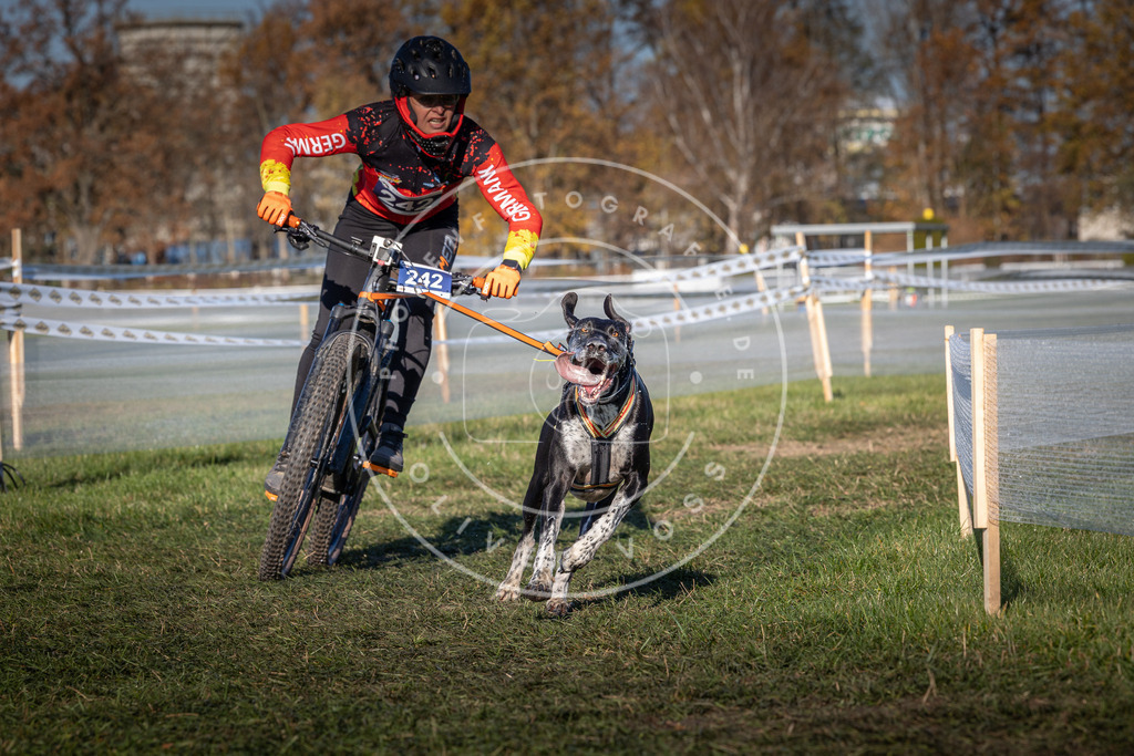 CaniXpix_0L8A4845 | Hundefotografie, Tierfotograf, Pfotenfotografie, Fotoshooting Hund, Hunde Portrait, Hundesport, Hundeportraits, Heideshooting, Hunde, Sportfotograf, Hundefotograf, Turnierhundsport, THS,  - Realisiert mit Pictrs.com