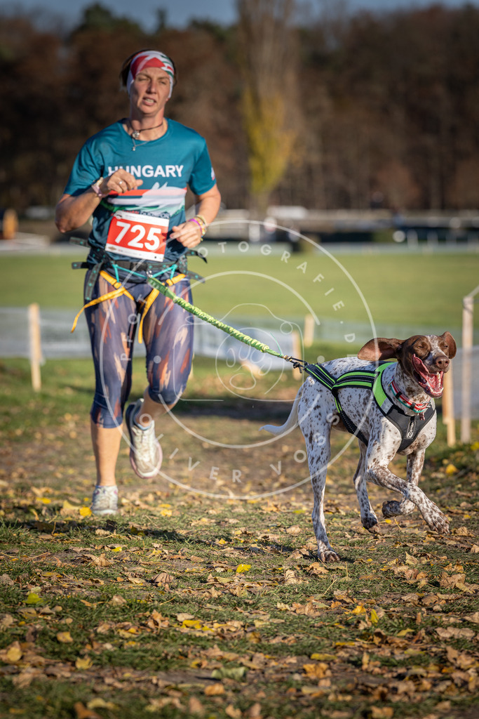 CaniXpix_DV3A1948 | Hundefotografie, Tierfotograf, Pfotenfotografie, Fotoshooting Hund, Hunde Portrait, Hundesport, Hundeportraits, Heideshooting, Hunde, Sportfotograf, Hundefotograf, Turnierhundsport, THS,  - Realisiert mit Pictrs.com