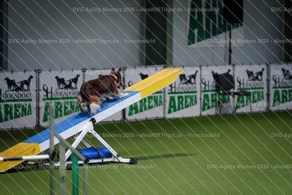 allesWIRTHgut_Tierfotografie-DVG_Agility_Masters_2026-15_05-7R502021 | Professionelle Tierfotografie in Mönchengladbach von Daniel Wirth (allesWIRTHgut). Liebevolle & natürliche Bilder von Hunden & Katzen für unvergessliche Erinnerungen.